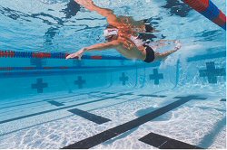 Roland Schoeman
