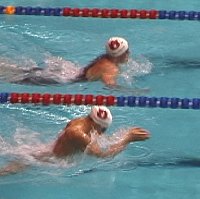 Auburn Breaststrokers