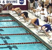 100 Free start
