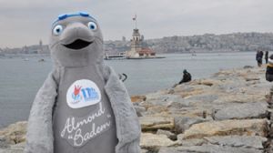 Mascot for the 2012 FINA SC World Championships