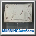 Click on button to view Swimming World TV video segment