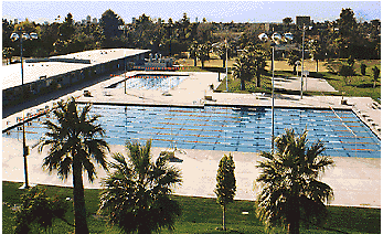 The Phoenix Swim Club, Phoenix, Arizona USA
Built in 1988 by Paddock Pools. Designed by USA Swimming Coaches: Brent Rutemiller and Dennis Pursley. Financed by Charles Keating II through Lincoln Savings and Loan.