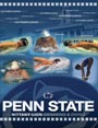 Penn State Media Guide Cover 2008