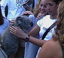 Petting a Koala - 2.