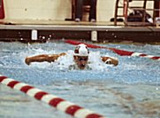 Stefan Gherghel - Swimming Fly