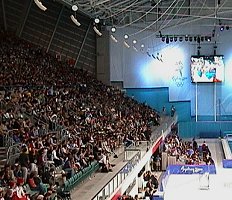 Olympic Swimming Crowd