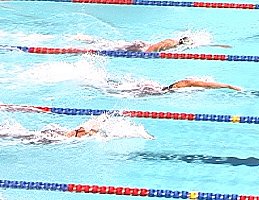 Van Dyken(top,) Torres (middle), and Shealy (bottom) in an exciting 100 Free heat.