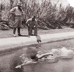 Hawaii Channel Swimmers