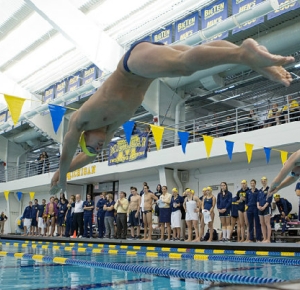 Michigan Swimming