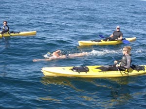 Transbay Swim