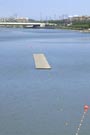 2008 World Open Water Championships