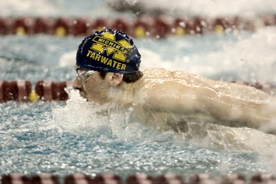 Tarwater 200 fly