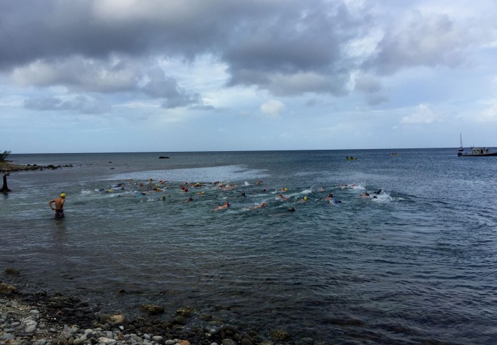 First St. Kitts Yacht Club Peninsula Swim Photo Gallery