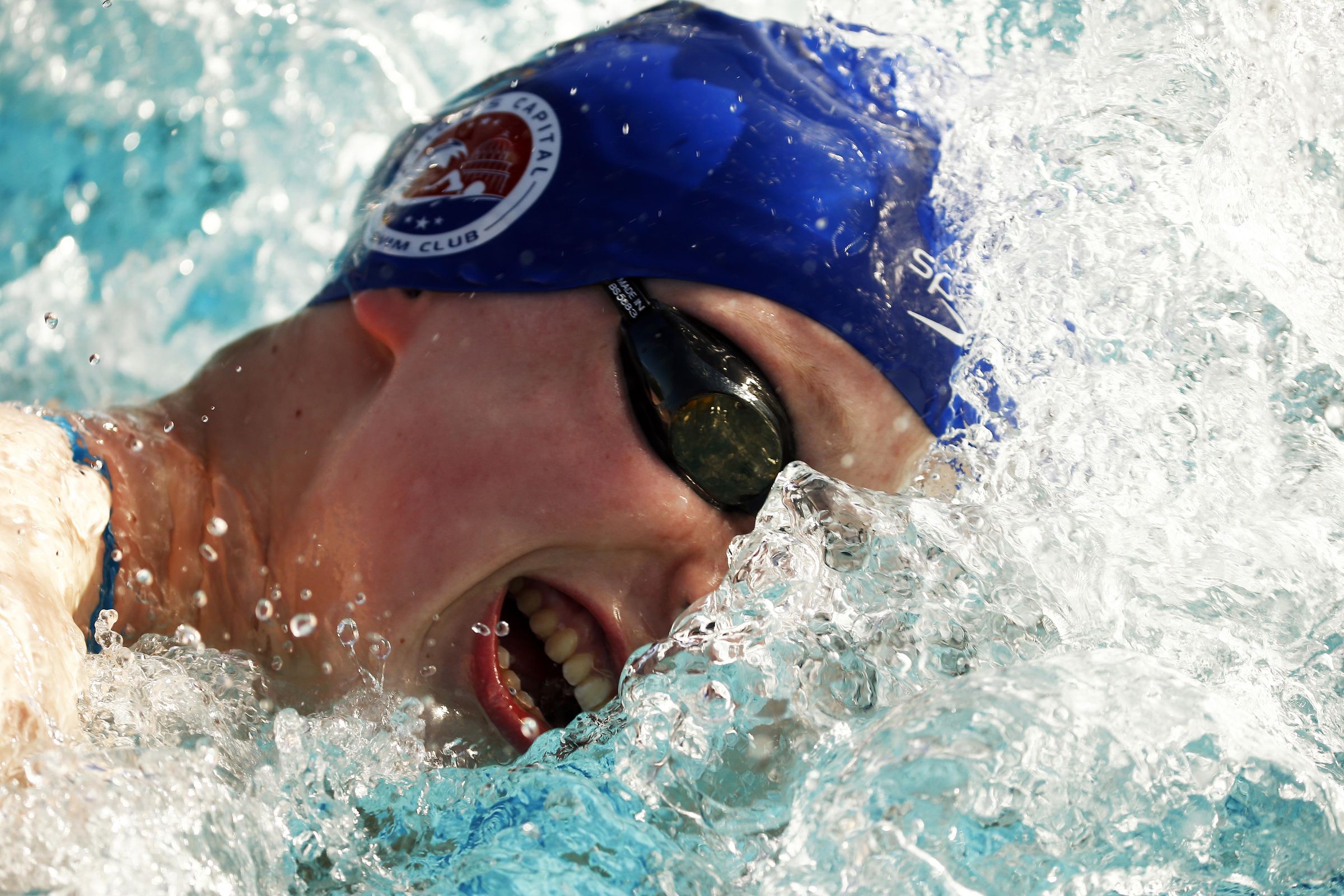 3 Types of Swimmer In Season Sensation, Taper Talent, and Forever Fast