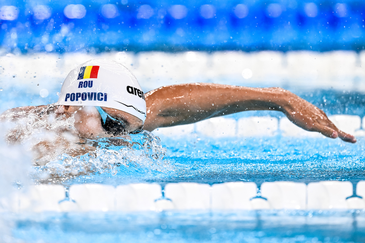 David Popovich