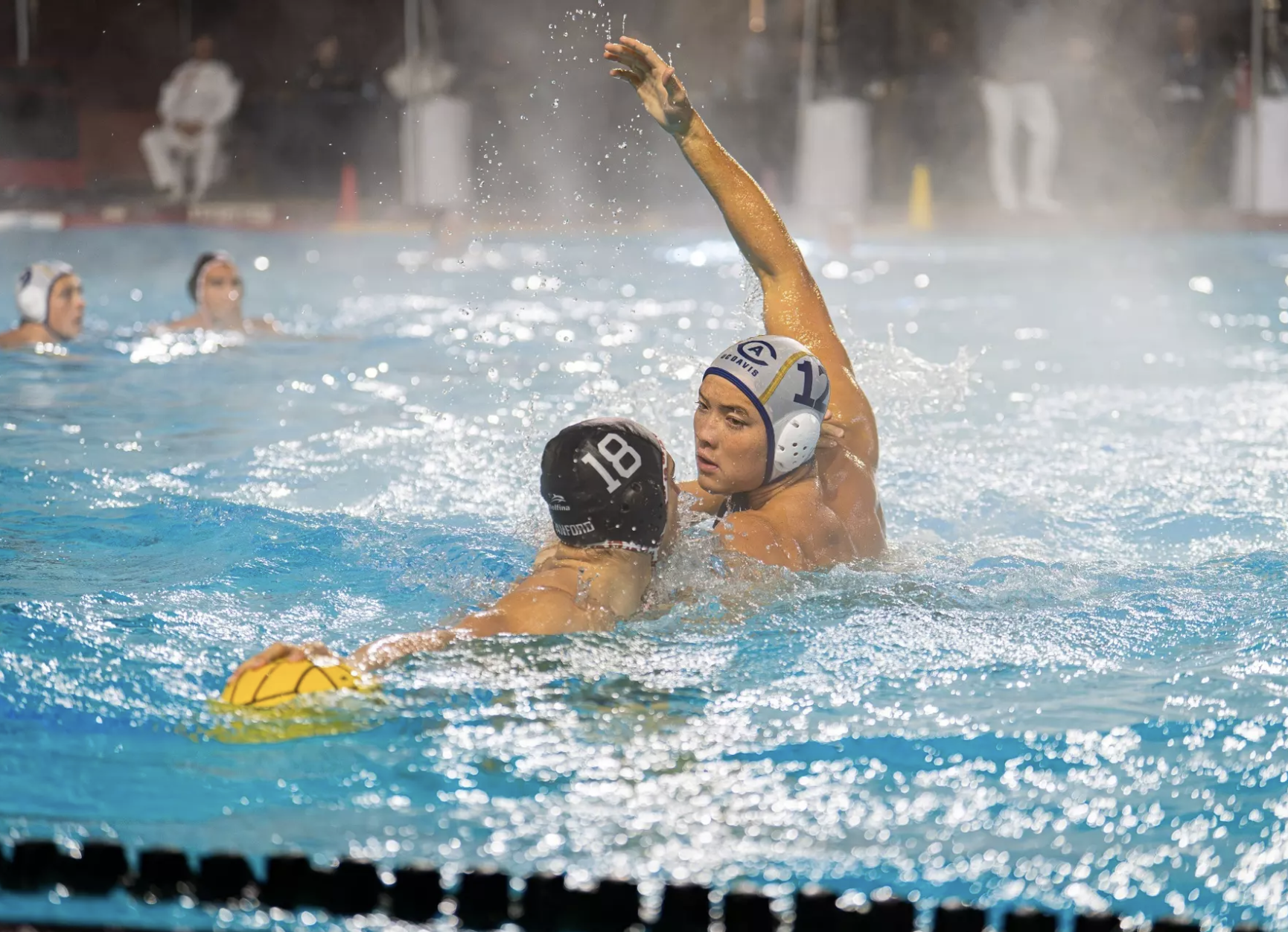 Adam Ting senior dell'UC Davis a guardia della pallanuoto di Stanford 