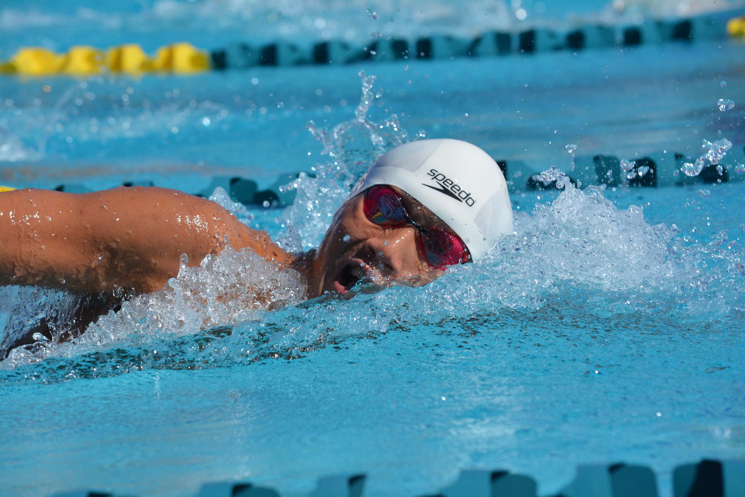 Backstroker Benjamin Ho Picks Stanford University - Swimming news ...