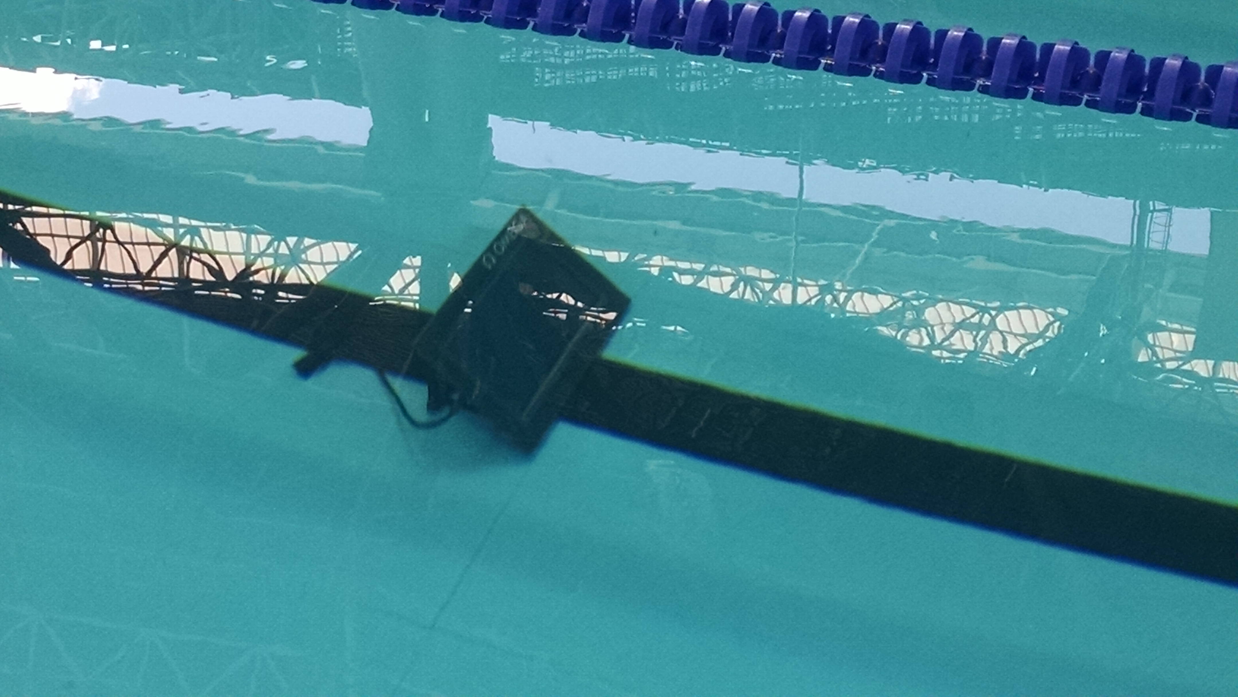 Digital Lap Counters Popular At FINA World Championships