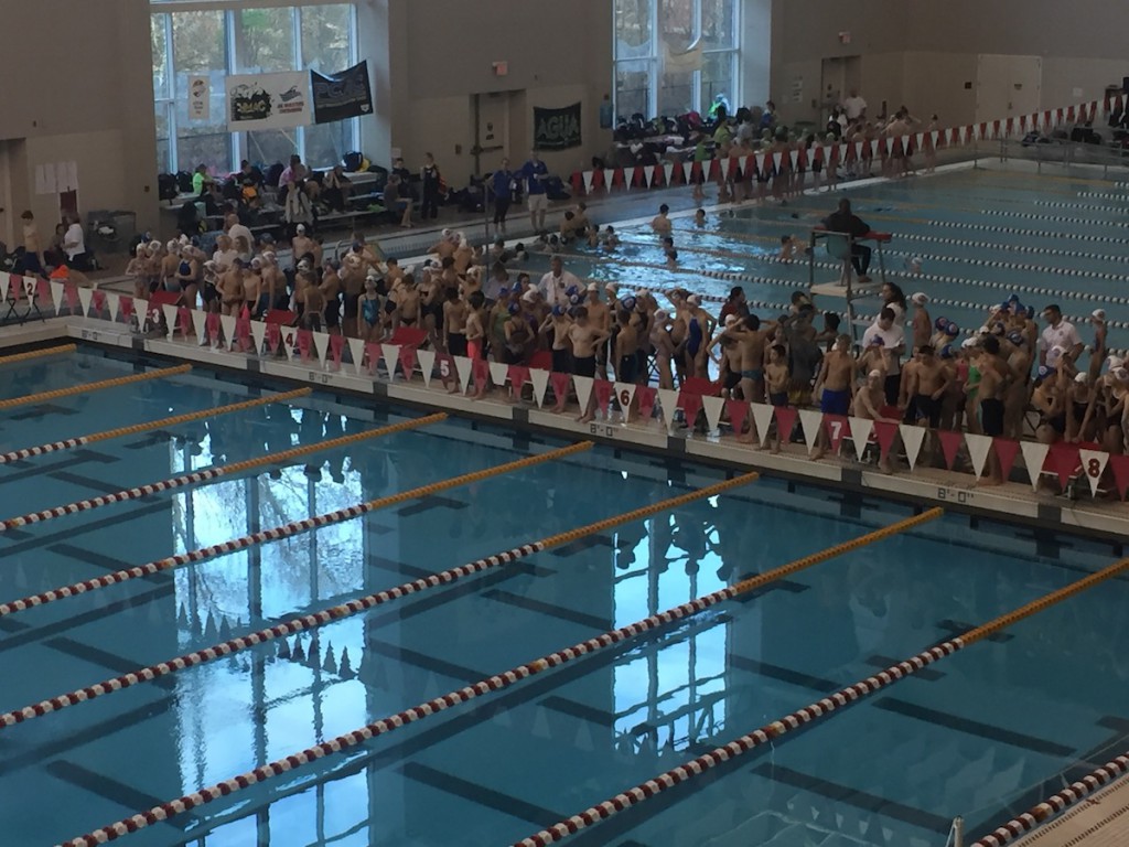 2015-ncap-invite-pool