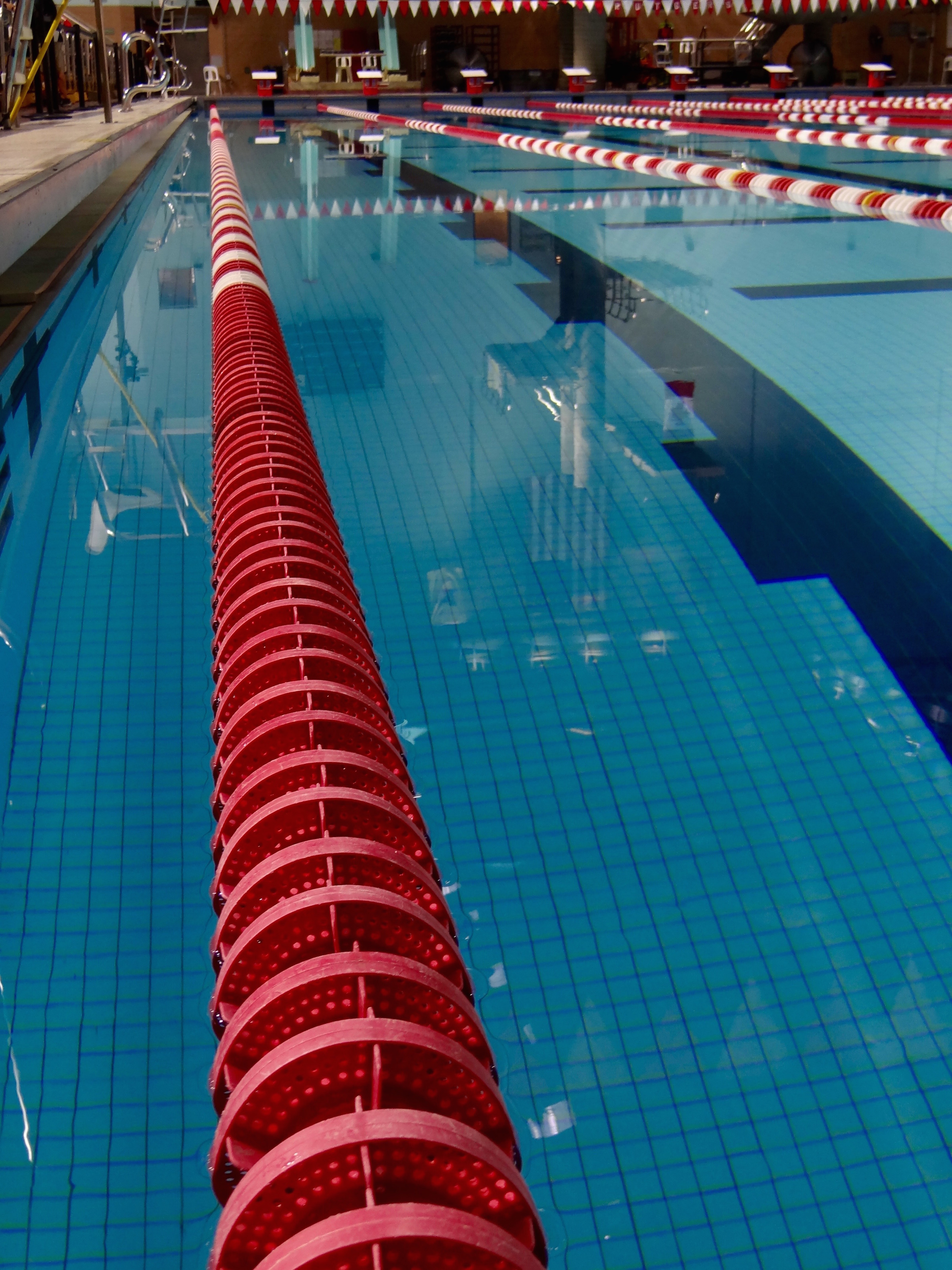 University of Nevada Takes Home Mountain West Championship Victory