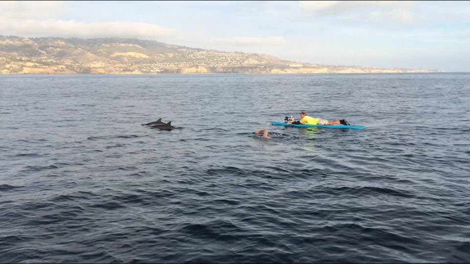 dan simonelli IMSHOF