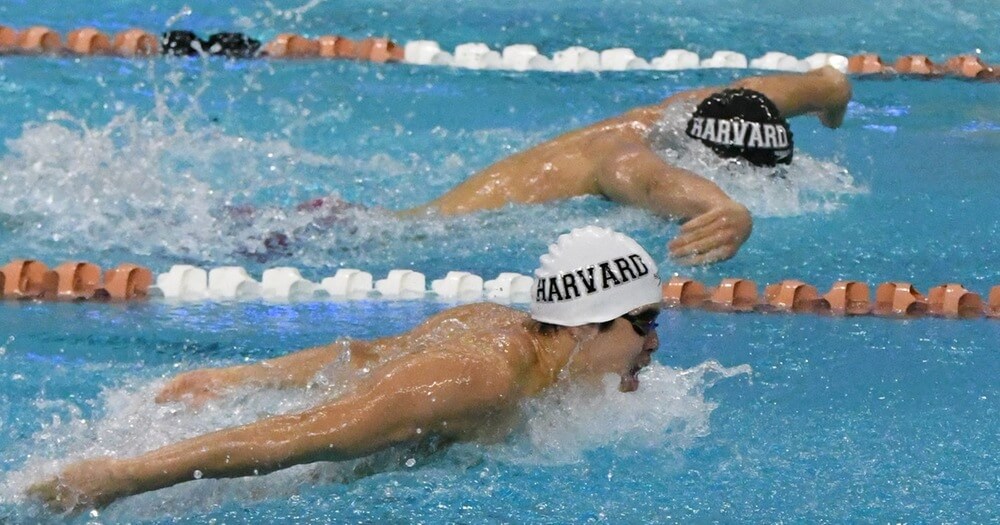 harvard-ivy-league-fly