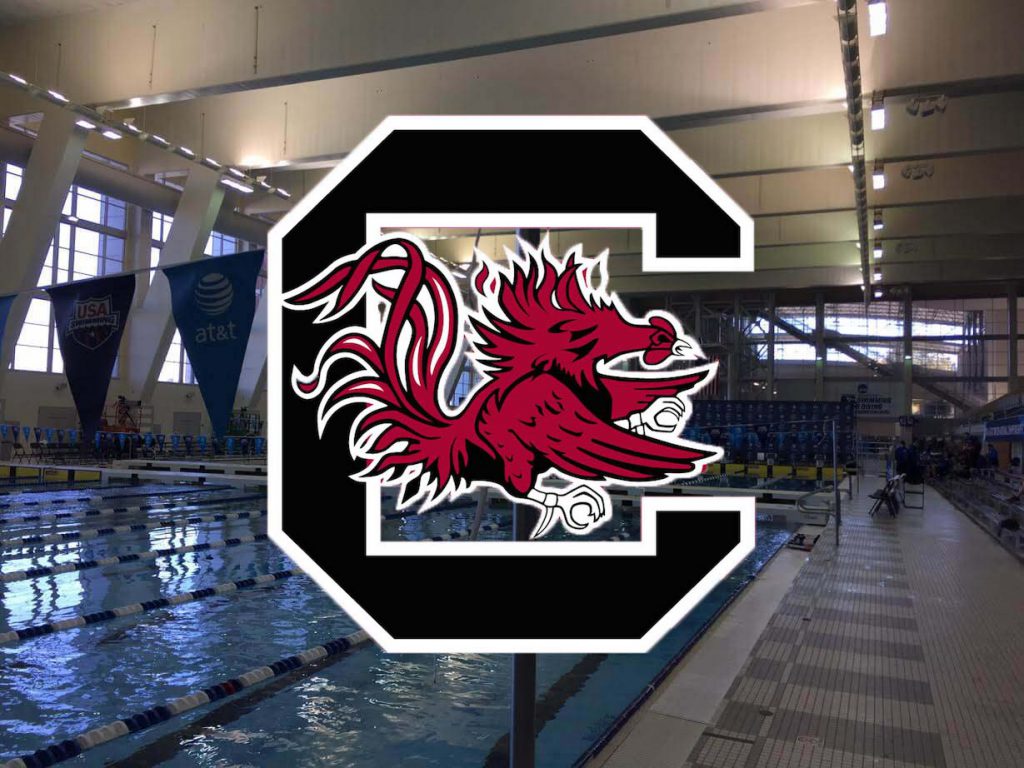 south-carolina-georgia-tech-pool