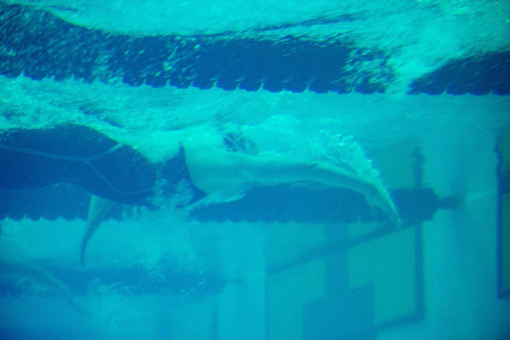 underwater-finish-generic-sec-championships