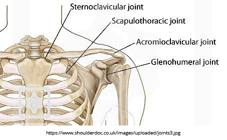 shoulder-joint