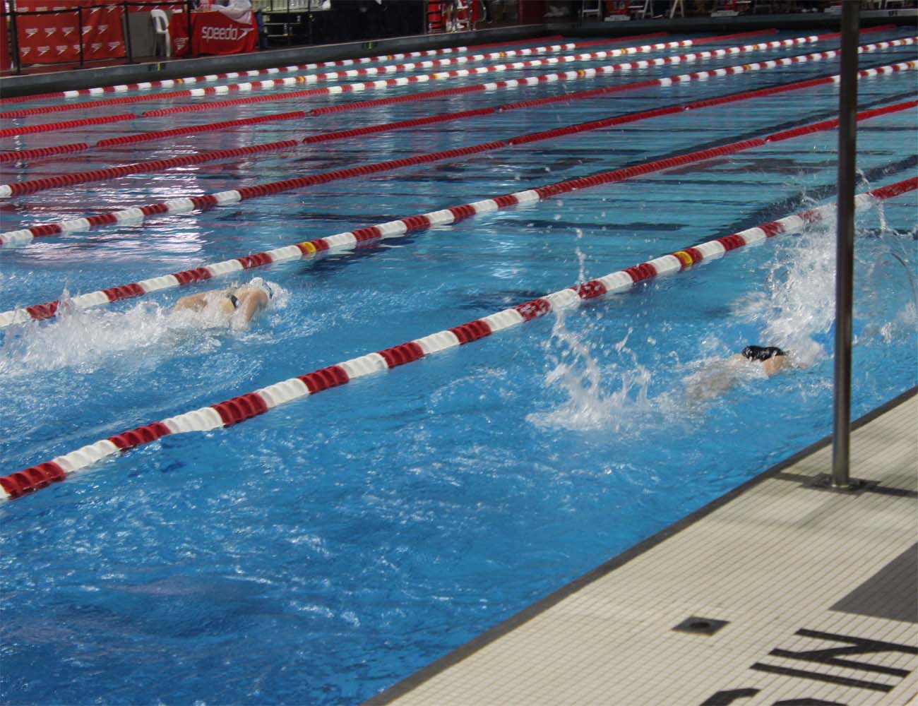 speedo-winter-invitational-mihitha-kamasani-15