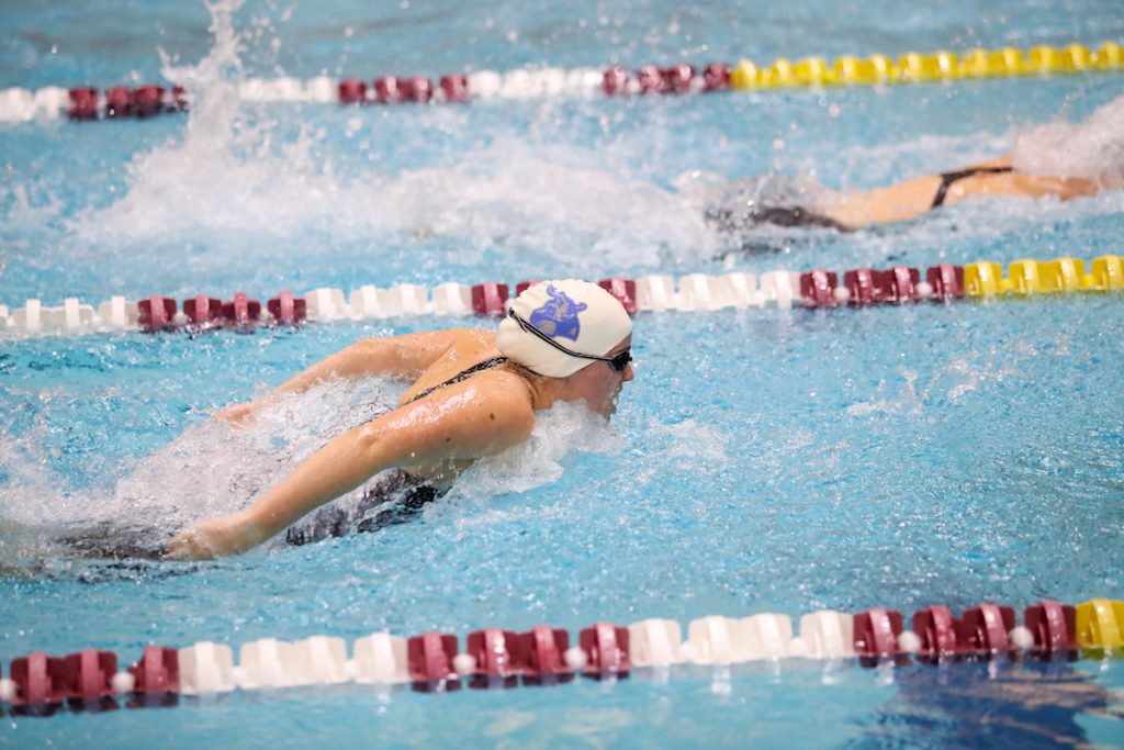 amy-socha-tufts-butterfly