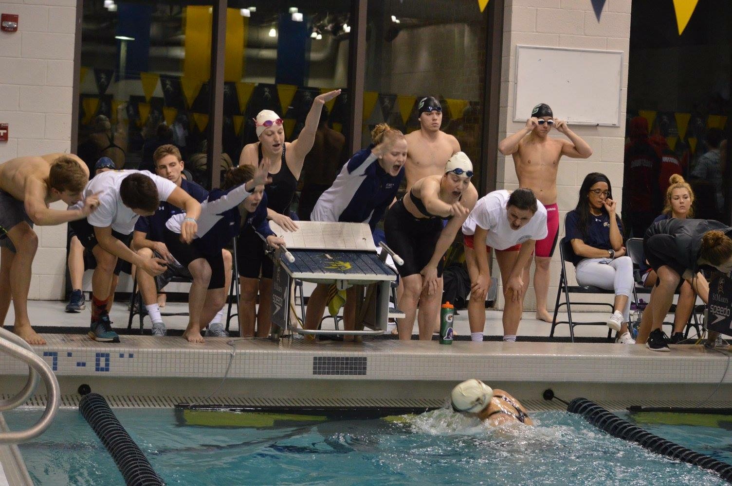 9 Types of Competitors Found On Deck At Swim Meets