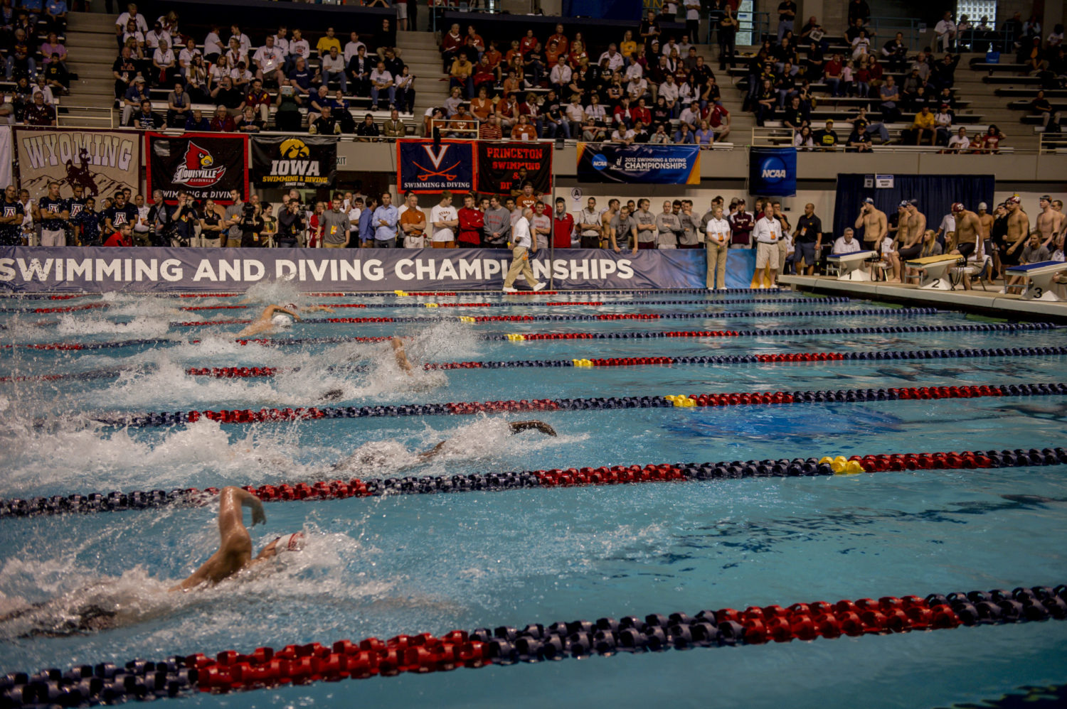NCAA Announces Future Sites For Swimming & Diving Championships